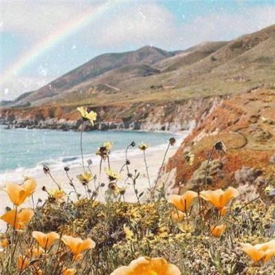 开云集团下载手机版