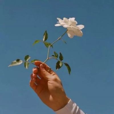 乐鱼·体育中国官方入口