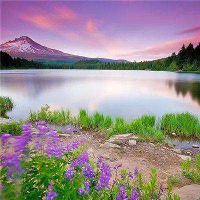 梭哈游戏下载下载手机版